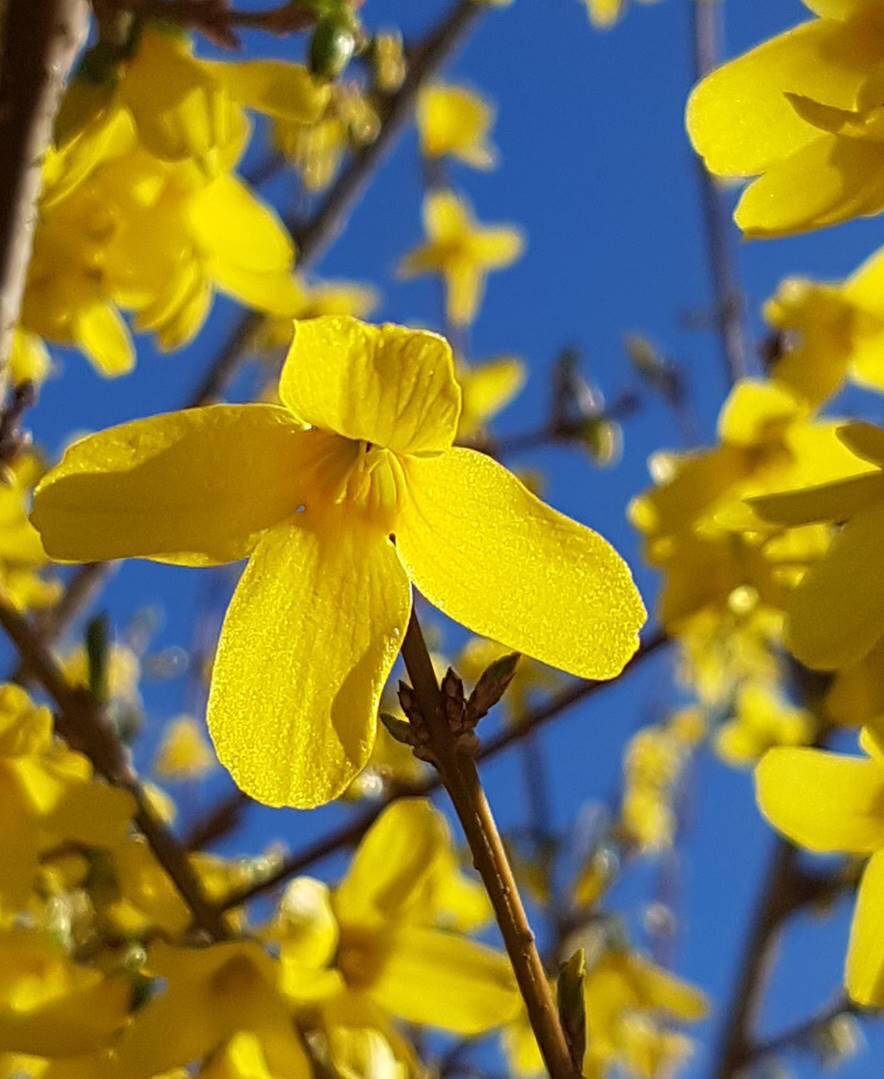 f1ff45ef 6ec7 461f 9ec0 60a9200c2cfb